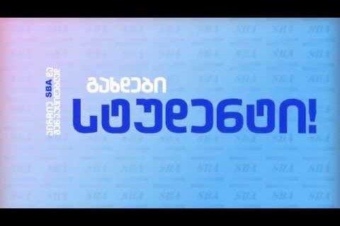 პროფესიული პროგრამები