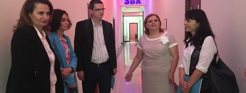 ევროკავშირის რევიზიის მისია