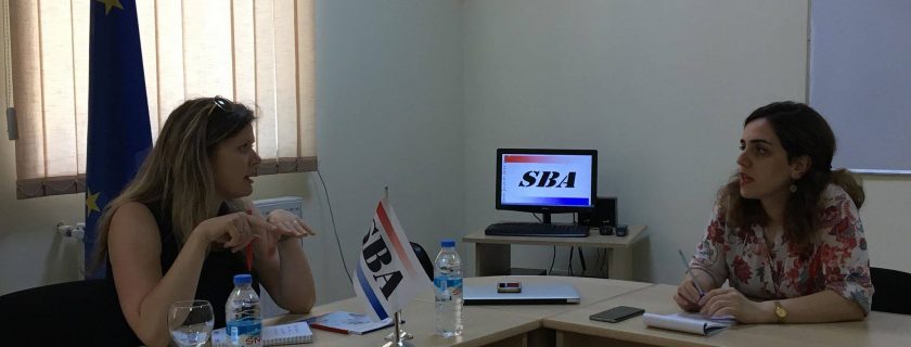 Dreamapply (სტუდენტთა მიღების პლატფორმა)