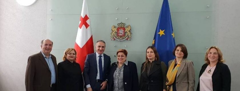 შეხვედრა მიხეილ ბატიაშვილთან