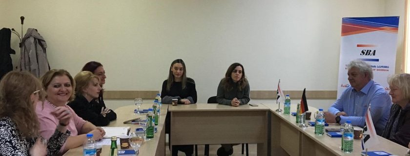 გერმანელი ექსპერტების ვიზიტი