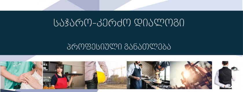 პროფესიული განათლების შესახებ შეხვედრა