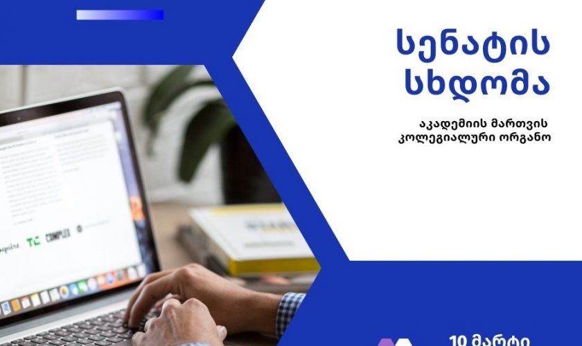 სენატის სხდომა