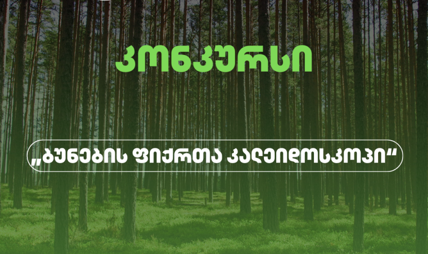 კონკურსი „ბუნების ფიქრთა კალეიდოსკოპი“