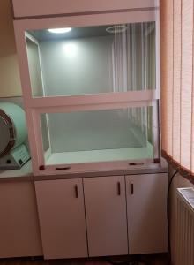 92695902_318562362448234_1486938890718674944_n