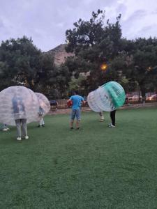 356036184 3529437640666247 5189579052989994129 n